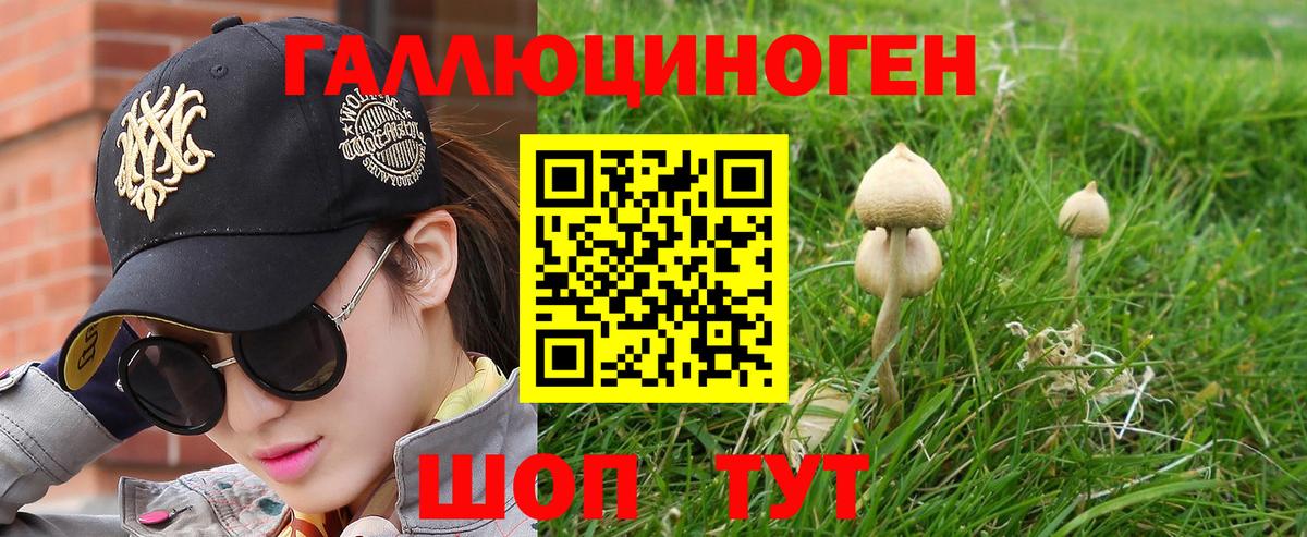Гуково  Псилоцибиновые грибы Psilocybe  Вход с VPN 